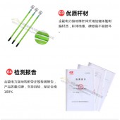 廠家定制國標接地線組