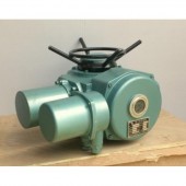 Z20-24W閥門電動(dòng)裝置