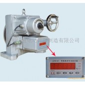 DKJ-610CX開關型角行程電動執(zhí)行器