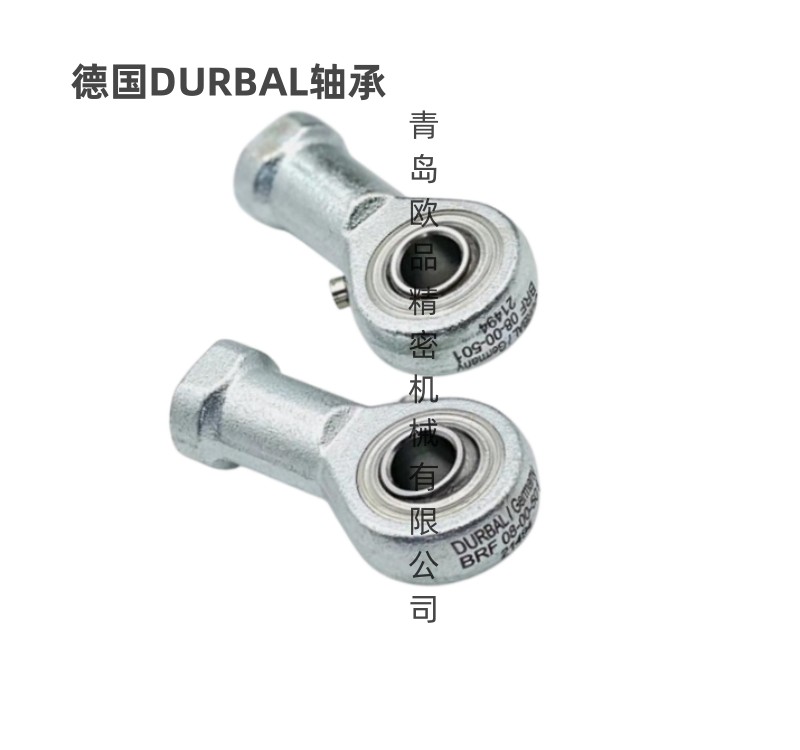BRF08-00-501_公司
